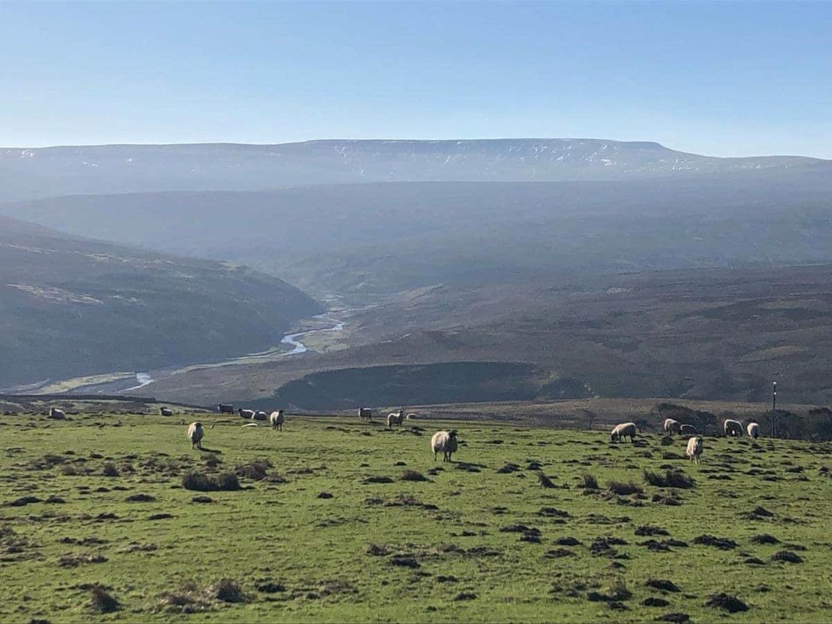 Robsons Cottage Alston Esterno foto